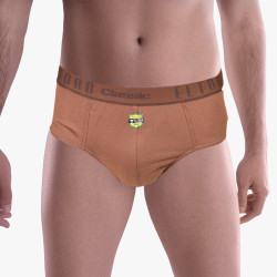 Brief